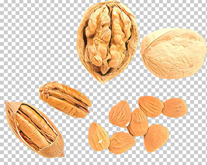 Walnut Nut Nuts & Seeds Almond Food PNG, Clipart, Almond, Apricot Kernel, Food, Ingredient, Nut Free PNG Download