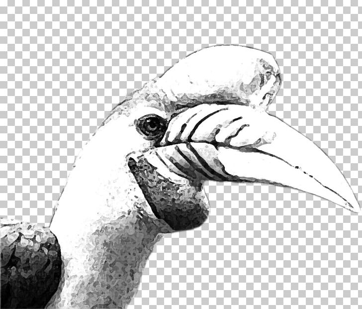 Beak Flightless Bird Wing Finger PNG, Clipart, Animals, Arm, Beak, Bird, Black And White Free PNG Download