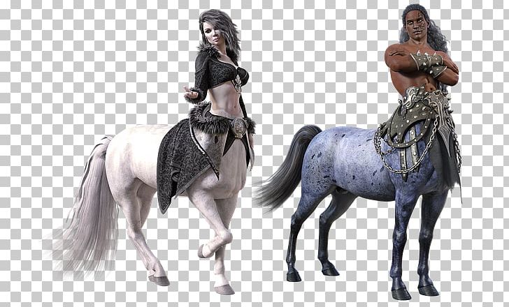 Centaur Horse Chiron Hybrid Beasts In Folklore PNG, Clipart, Astrology, Bridle, Centaur, Centaurus, Chiron Free PNG Download