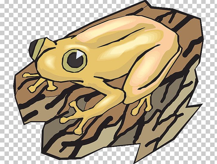 Frog PNG, Clipart, Amphibian, Animals, Art, Download, Fauna Free PNG Download