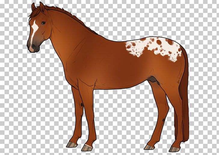 Horse Stallion Dragons Love Tacos & Other Stories Mare Pony PNG, Clipart, Animal Figure, Animals, Bridle, Chestnut, Colt Free PNG Download