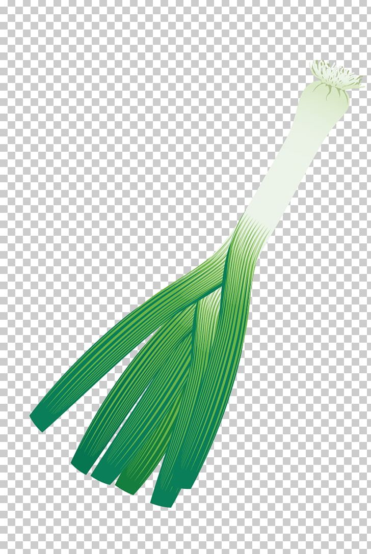 Scallion Allium Fistulosum Onion PNG, Clipart, Background Green, Chives, Designer, Download, Grass Free PNG Download