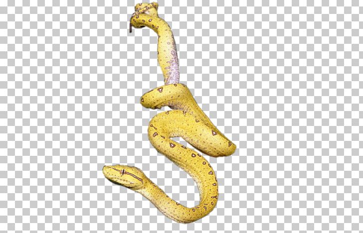 Snake Icon PNG, Clipart, Animals, Designer, Download, Euclidean Vector, Golden Free PNG Download