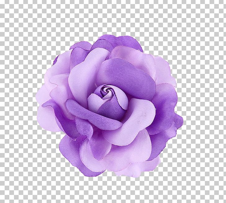 Violet Purple Flower PNG, Clipart, Artikel, Beautiful, Blue, Color, Cosmetic Free PNG Download