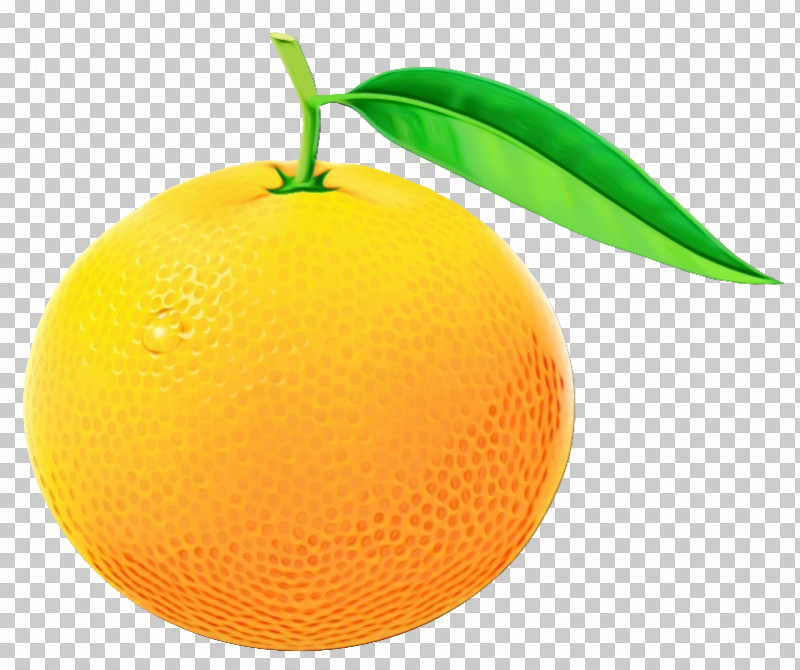 Orange PNG, Clipart, Citrus, Fruit, Grapefruit, Mandarin Orange, Orange Free PNG Download