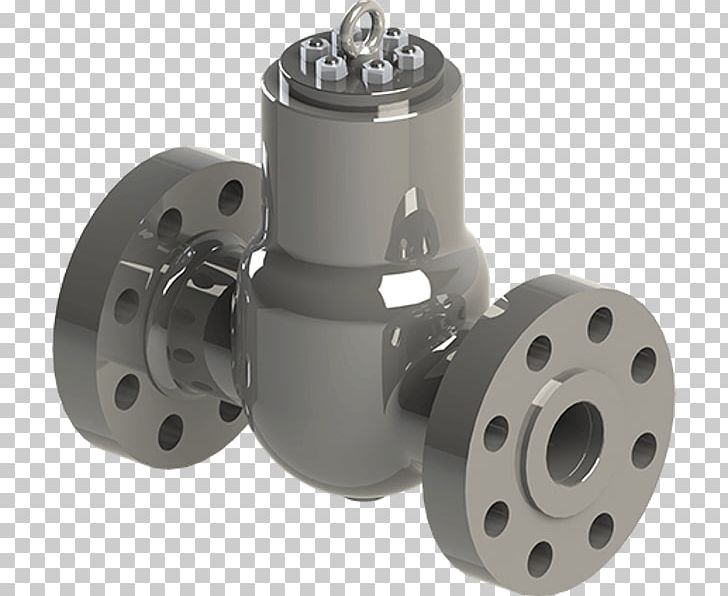 Check Valve Gate Valve Seal Globe Valve PNG, Clipart, Angle, Animals, Check, Check Valve, Disc Free PNG Download