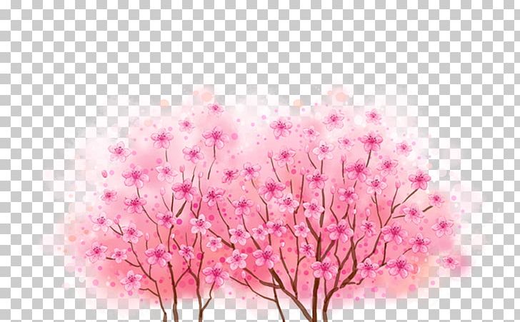 Cherry Blossoms PNG, Clipart, Advertising, Branch, Cherry, Cherry Blossom, Cherry Blossoms Free PNG Download