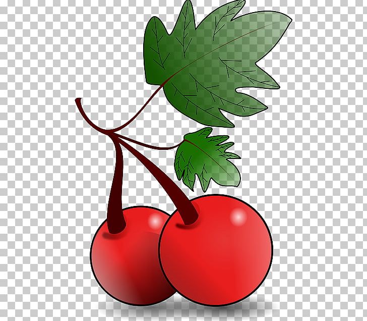 Fruit PNG, Clipart, Art, Banana, Branch, Cherry, Clip Free PNG Download