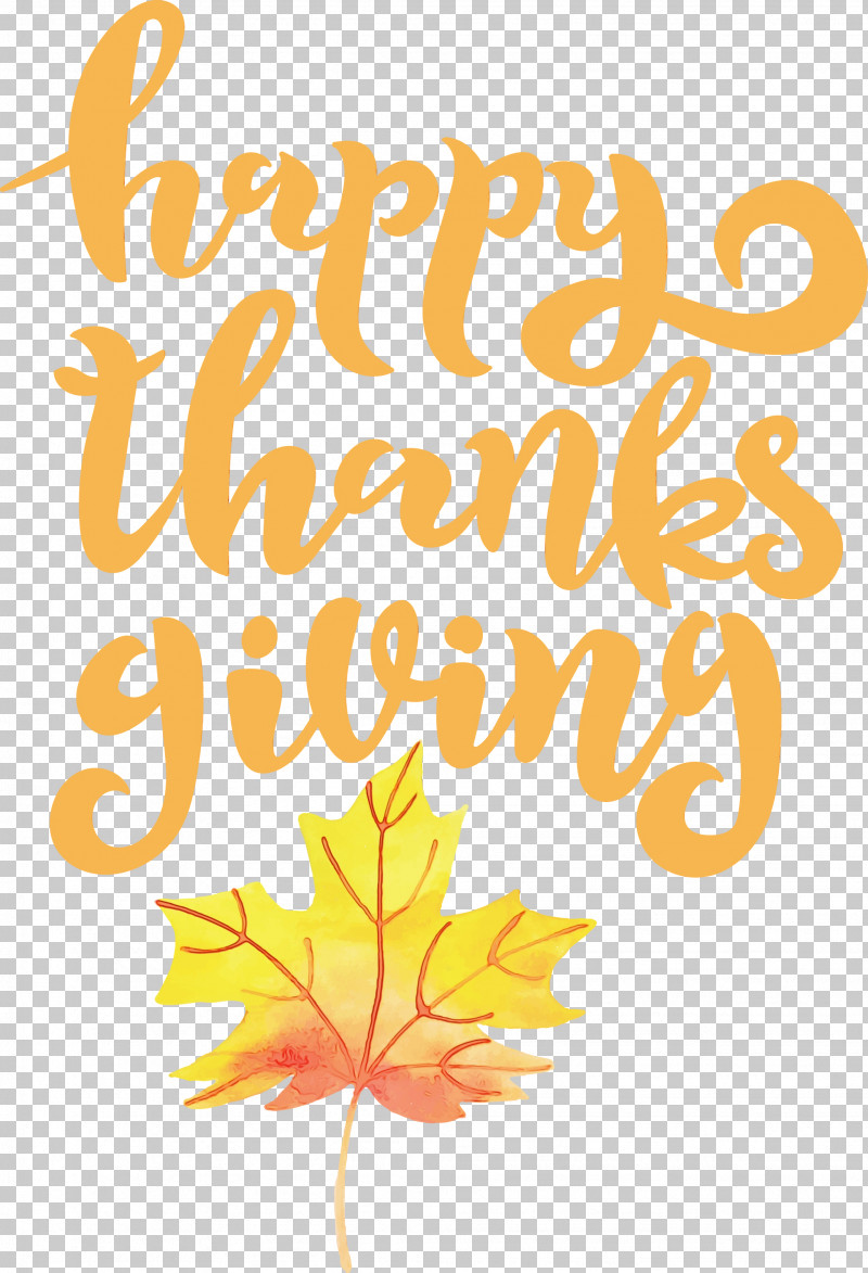 Floral Design PNG, Clipart, Biology, Floral Design, Geometry, Happy Thanksgiving, Leaf Free PNG Download