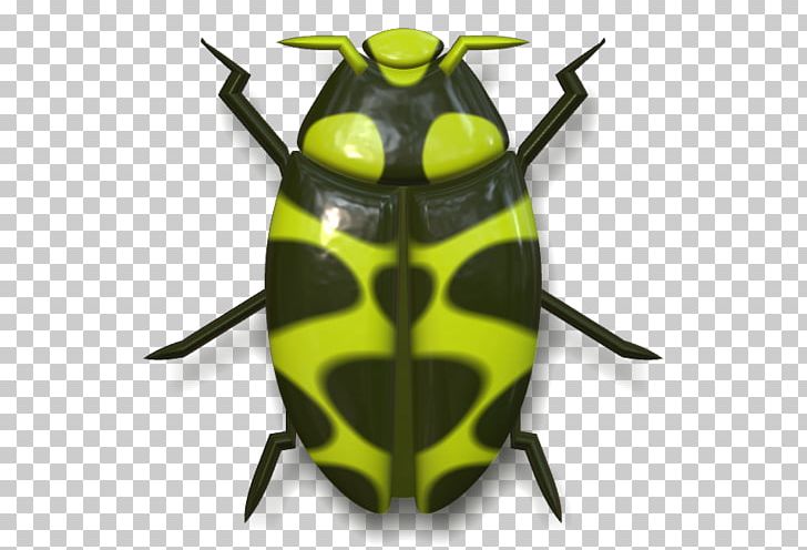 Ladybird Beetle PNG, Clipart, Animal, Animals, Arthropod, Beetle, Download Free PNG Download