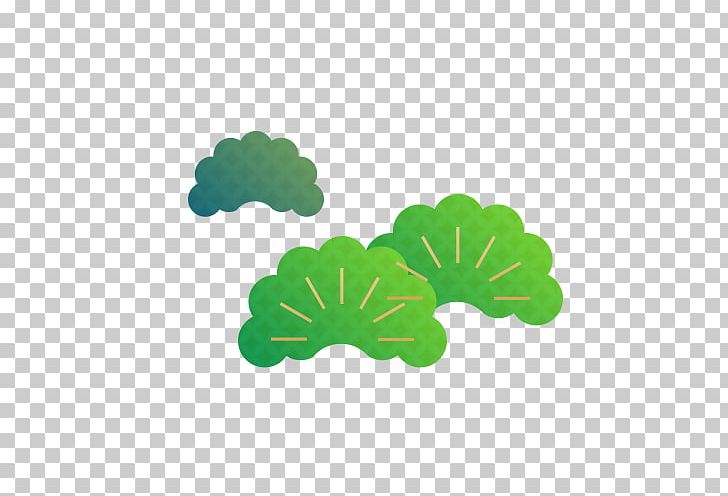 Leaf Green Pinaceae PNG, Clipart, Balloon Cartoon, Boy Cartoon, Broccoli, Cartoon, Cartoon Alien Free PNG Download