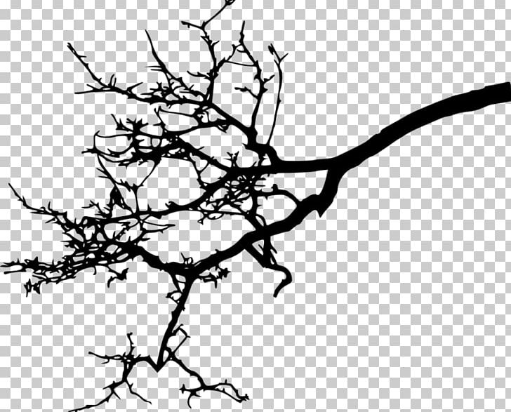 Twig Branch PNG, Clipart, Animals, Black And White, Branch, Drawing, Flora Free PNG Download
