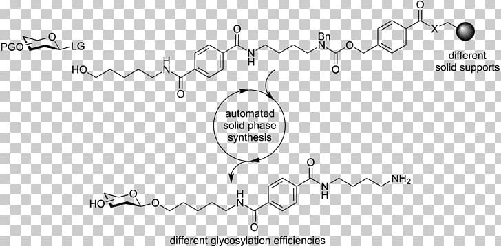 3-Methylglutaconyl-CoA Beta-Hydroxy Beta-methylbutyryl-CoA Beta-Hydroxy Beta-methylbutyric Acid Leucine Methylglutaconyl-CoA Hydratase PNG, Clipart, Abstract, Angle, Animal, Area, Auto Part Free PNG Download