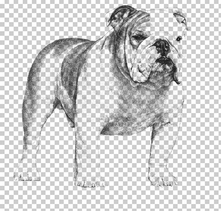 French Bulldog Poodle Puppy American Kennel Club PNG, Clipart, Animals, Australian Bulldog, Black And White, Breed, Bulldog Free PNG Download