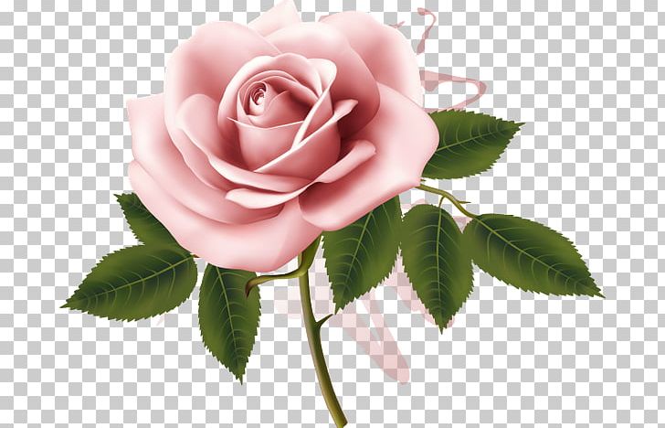 Garden Roses Pink Watercolor Painting PNG, Clipart, Art, Cut Flowers, Floribunda, Flower, Flowering Plant Free PNG Download
