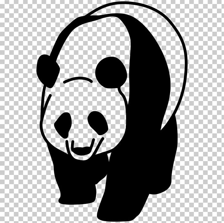 Giant Panda PNG, Clipart, Animals, Artwork, Bear, Black, Carnivoran Free PNG Download