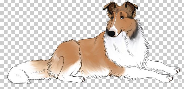 Rough Collie Shetland Sheepdog Dog Breed Smooth Collie Scotch Collie PNG, Clipart, Animation, Anime, Artwork, Carnivoran, Cartoon Free PNG Download