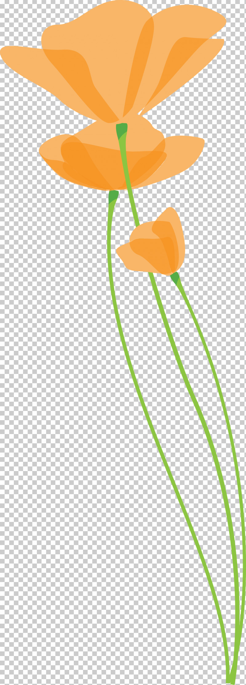 Poppy Flower PNG, Clipart, Flower, Leaf, Orange, Plant, Plant Stem Free PNG Download