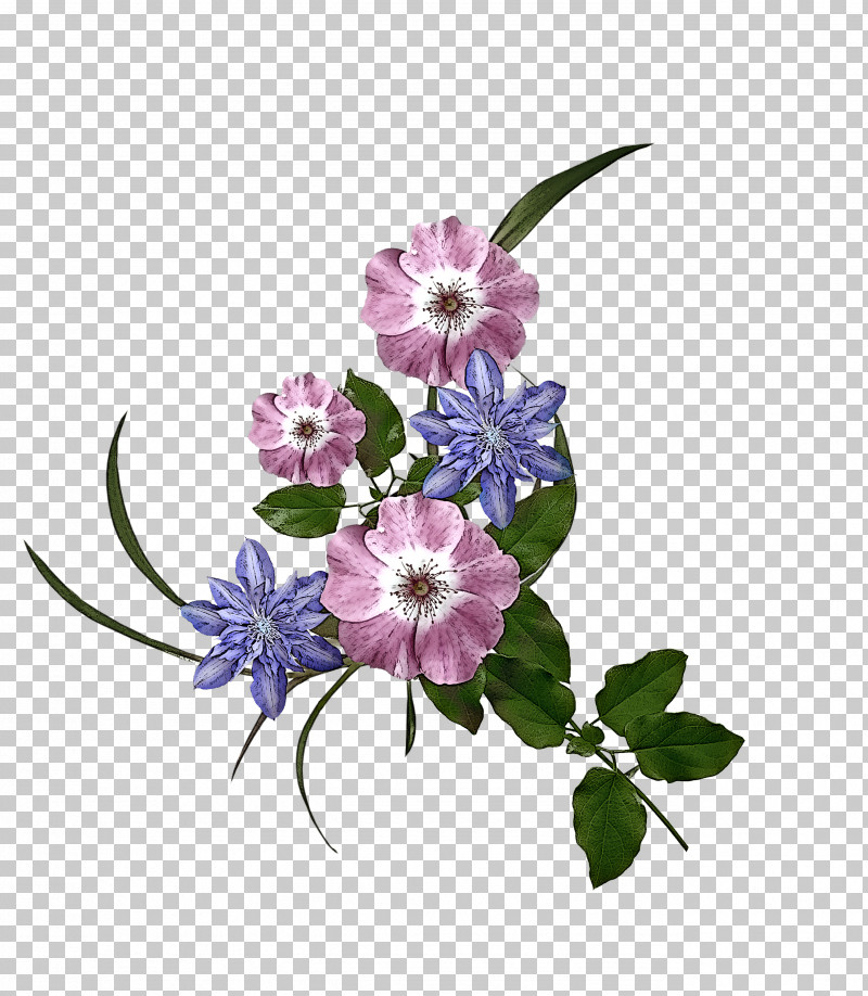 Flower Plant Violet Purple Petal PNG, Clipart, Bouquet, Flower, Lilac, Petal, Plant Free PNG Download