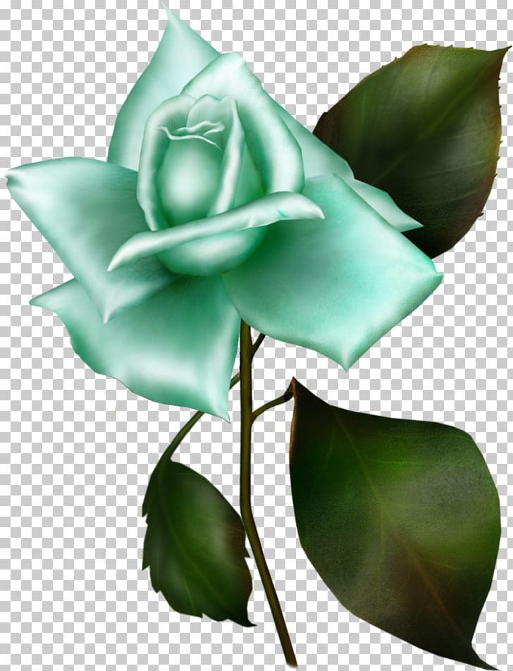 Garden Roses Rosa Gallica Flower Blue Rose Lilac PNG, Clipart, Blue Rose, Bud, Cut Flowers, Flora, Flower Free PNG Download