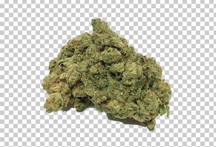 Drugs: Facts Drug Test Drug Policy Cannabis PNG, Clipart, Cannabis, Cannabis Sativa, Drug, Drug Policy, Drugs Free PNG Download