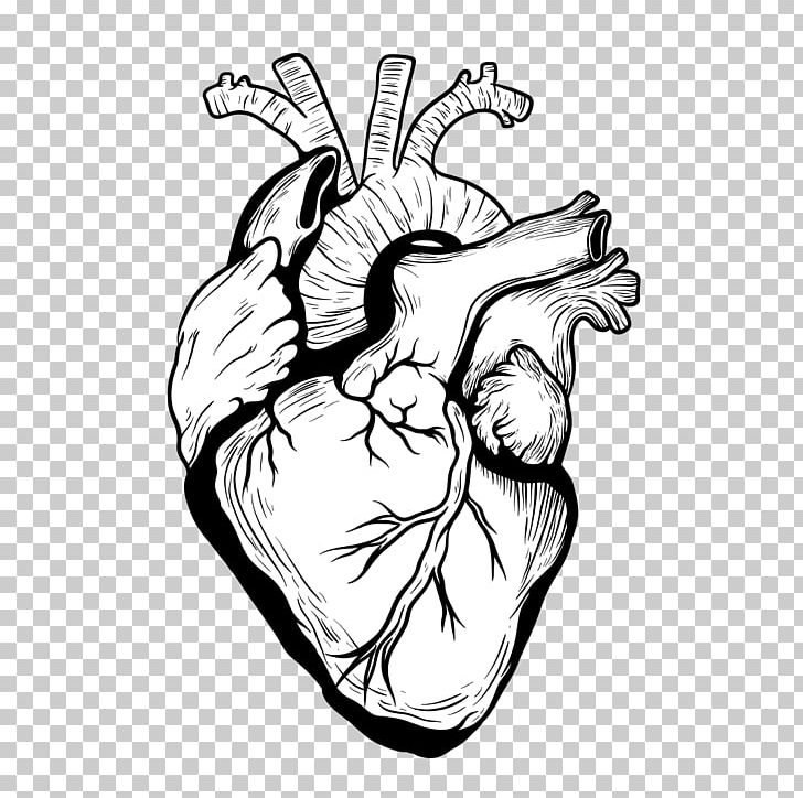 Heart Drawing Organ Designer PNG, Clipart, Arm, Art, Black, Black And White, Broken Heart Free PNG Download