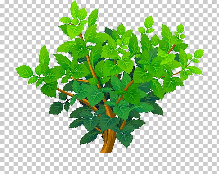 Leaf Plant Stem Flowerpot Herb PNG, Clipart, Autumn Tree, Branch, Christmas Tree, Family Tree, Flowerpot Free PNG Download