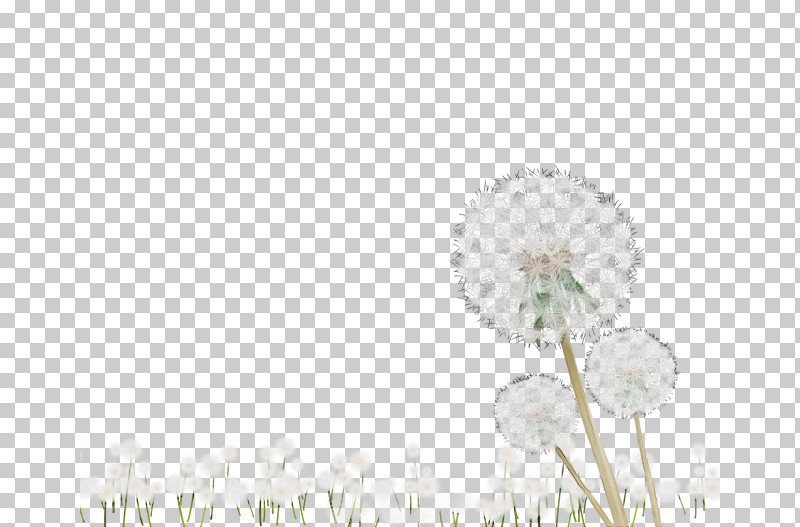 Dandelion Computer Meter Petal M PNG, Clipart, Computer, Dandelion, M, Meter, Paint Free PNG Download