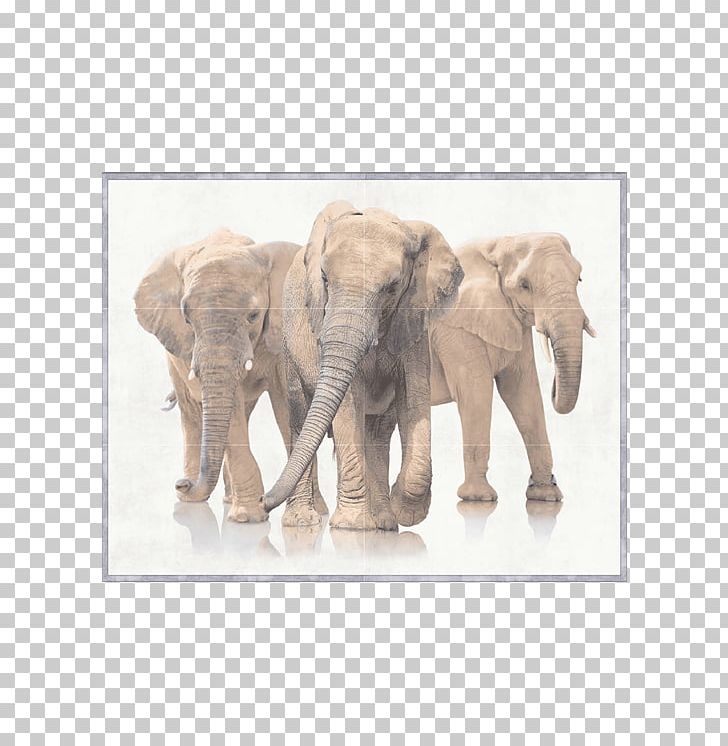 African Bush Elephant Stock Photography PNG, Clipart, African Bush Elephant, African Elephant, Animals, Cattle Like Mammal, Depositphotos Free PNG Download