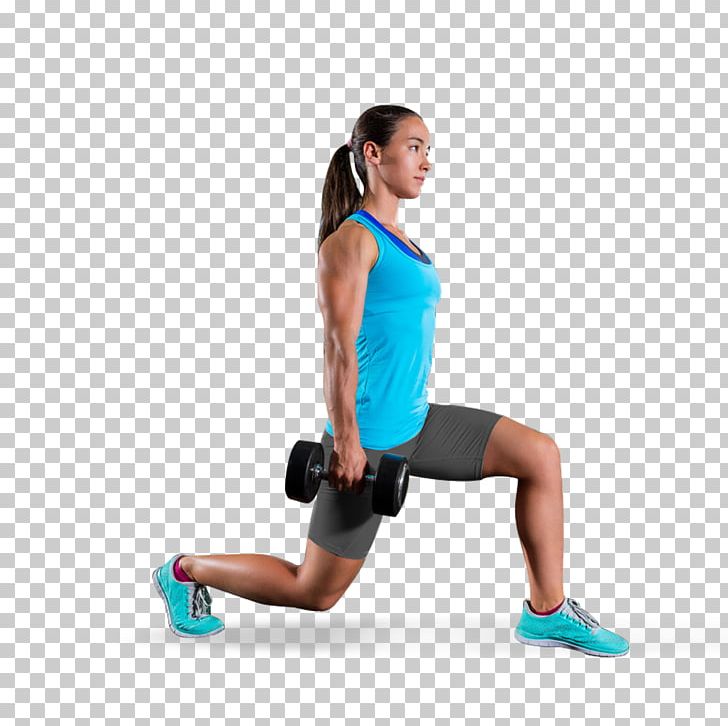 Core Abdominal Exercise Physical Exercise Exercise Equipment Physical Fitness PNG, Clipart, Abdomen, Abdominal Exercise, Arm, Balance, Calf Free PNG Download
