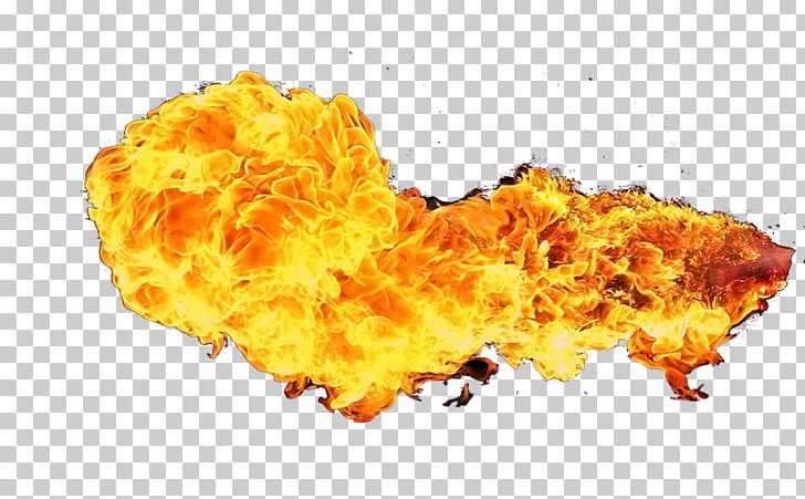 PhotoScape GIMP PNG, Clipart, 2016, Axa, Blog, Cuisine, Fire Effect Free PNG Download