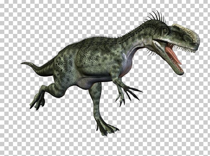 Tyrannosaurus Velociraptor Cryolophosaurus Monolophosaurus Concavenator PNG, Clipart, 3d Computer Graphics, 3d Rendering, Animal, Concavenator, Cryolophosaurus Free PNG Download