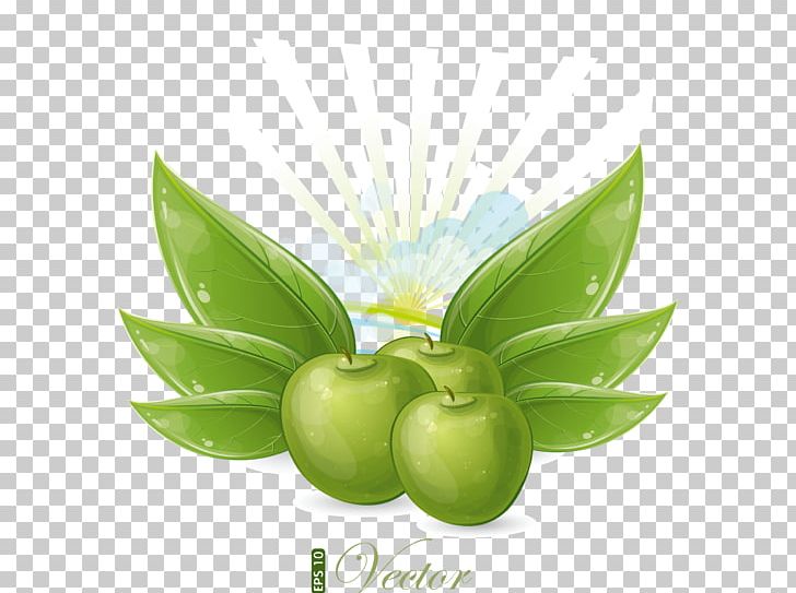 Green Apple PNG, Clipart, Apple, Apple Vector, Computer Wallpaper, Download, Encapsulated Postscript Free PNG Download