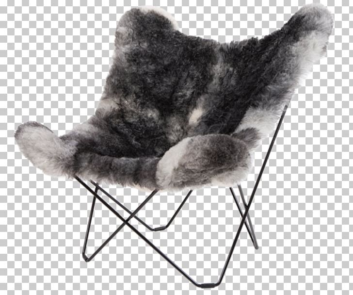 Butterfly Chair Egg Wing Chair PNG, Clipart, Black And White, Butterfly Chair, Cat, Cat Like Mammal, Chair Free PNG Download