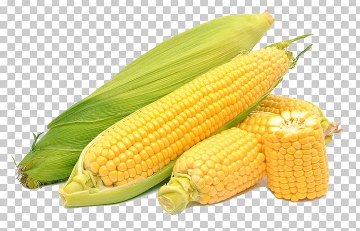 Corn On The Cob Maize Sweet Corn PNG, Clipart, Cartoon Corn, Cereal, Cob, Cobs, Commodity Free PNG Download