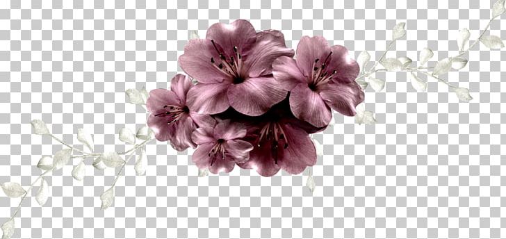 Blossom Flower Plant Floral Design PNG, Clipart, Blossom, Branch, Cut Flowers, Encapsulated Postscript, Floral Design Free PNG Download