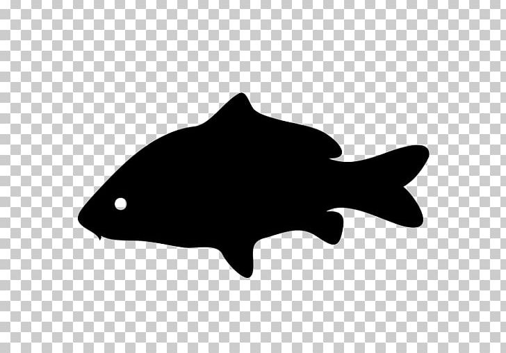 Fish Computer Icons Grouper PNG, Clipart, Animal, Animals, Black, Black And White, Carp Free PNG Download
