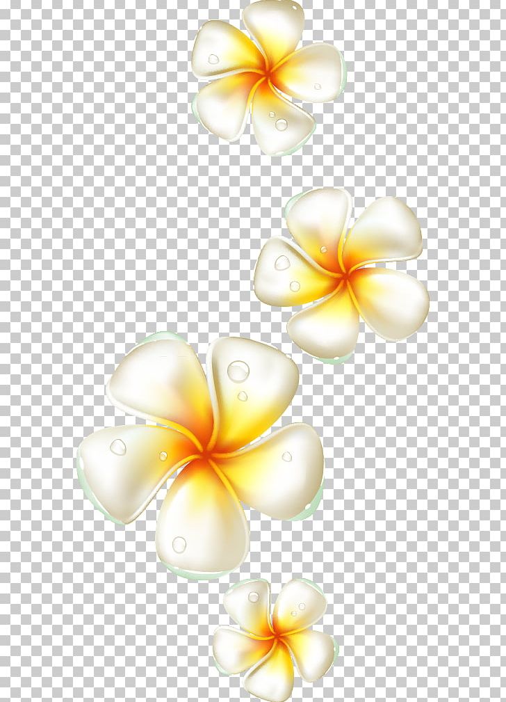 Flower Frangipani PNG, Clipart, Adobe Illustrator, Computer Wallpaper, Download, Egg Vector, Elements Vector Free PNG Download