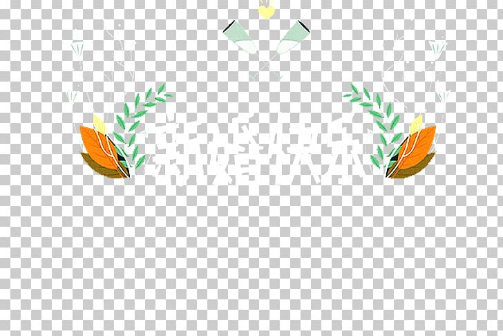 Leaf PNG, Clipart, Cartoon, Computer, Computer Wallpaper, Download, Feather Free PNG Download