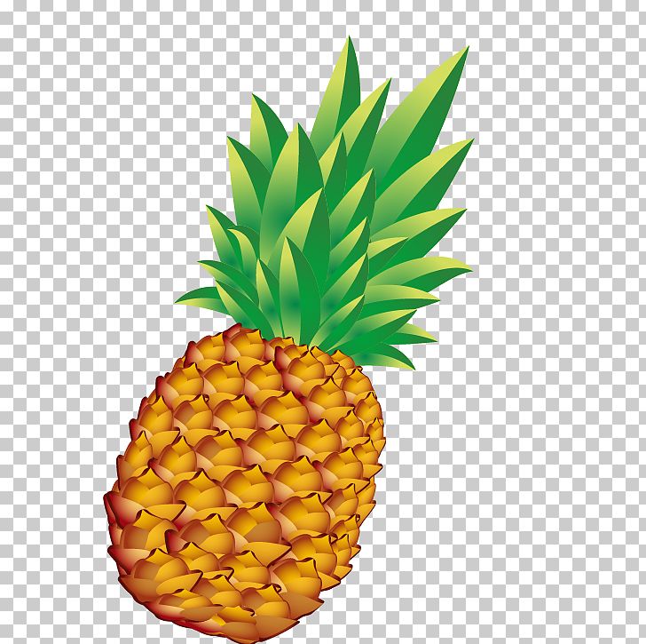 Pineapple Bun Euclidean PNG, Clipart, Alimento Saludable, Ananas, Bromeliaceae, Buckle, Cartoon Free PNG Download