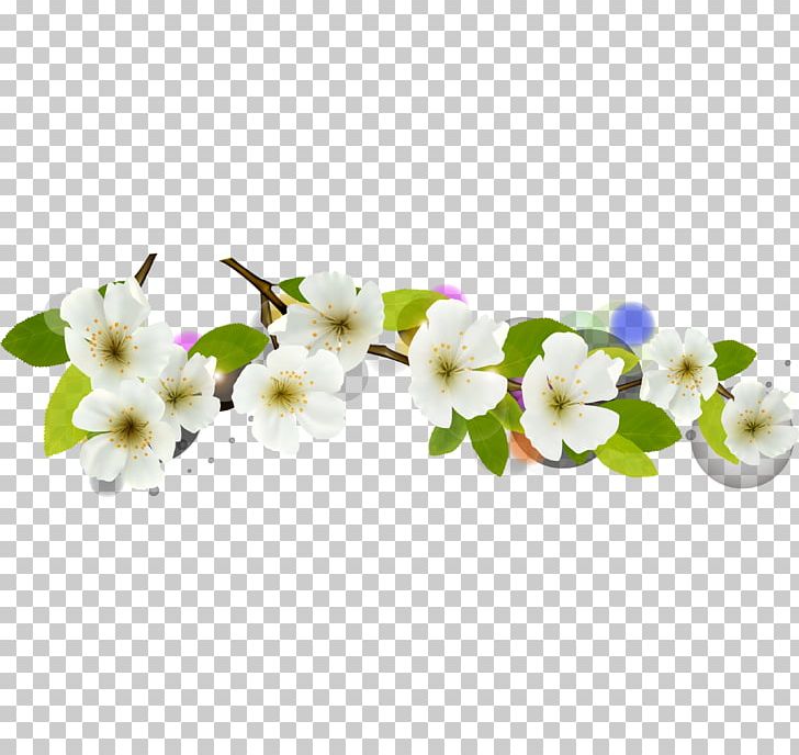 Apricot Computer File PNG, Clipart, Adobe Illustrator, Almond, Branch, Encapsulated Postscript, Flower Free PNG Download