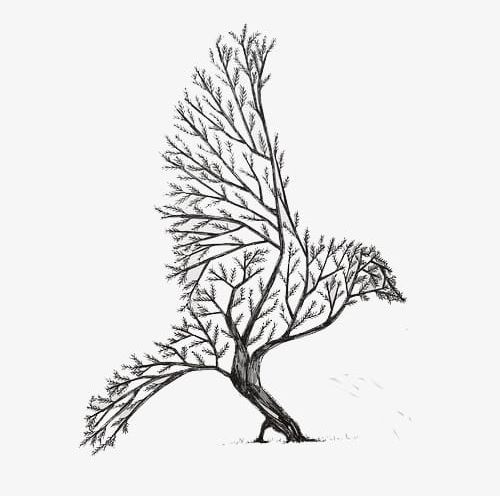 Bird Tree PNG, Clipart, Art, Bird, Bird Clipart, Bird Tree, Black Free PNG Download