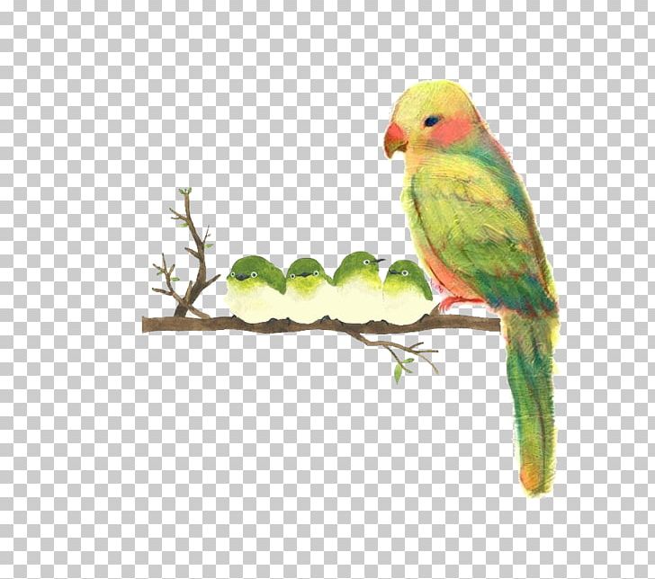 Japan Watercolor Painting Drawing PNG, Clipart, Animals, Bird, Bird Cage, Birds, Bird Supply Free PNG Download