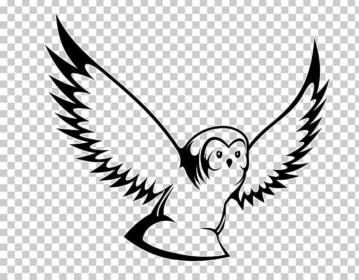 Owl Drawing PNG, Clipart, Angel, Animals, Art, Art Museum, Artwork Free PNG Download
