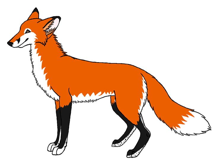 Red Fox PNG, Clipart, Arctic Fox, Blog, Carnivoran, Document, Dog Breed ...