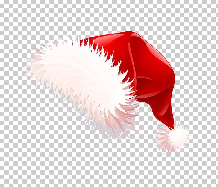 Santa Claus Santa Suit Christmas PNG, Clipart, Cartoon, Christmas, Christmas Decoration, Christmas Frame, Christmas Lights Free PNG Download