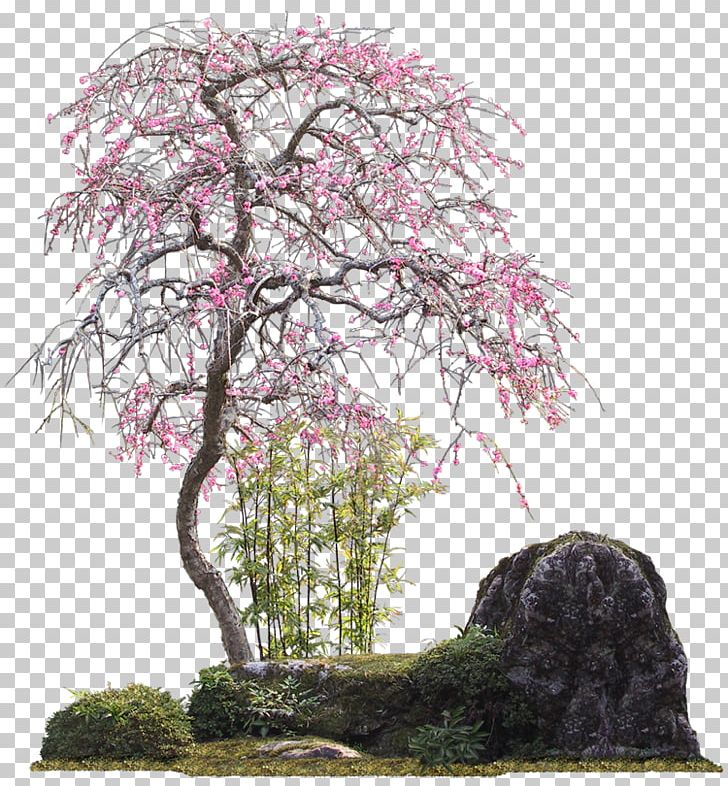Cherry Blossom Bonsai Tree Drawing
