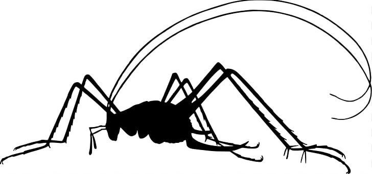 Black And White Bee Silhouette Insect PNG, Clipart, Artwork, Bee, Black And White, Cartoon, Cave Crickets Free PNG Download