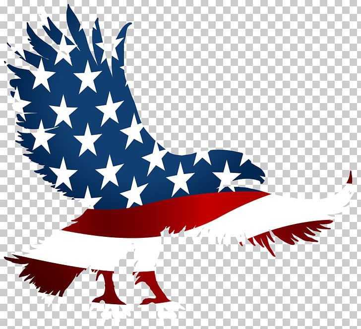 Flag Of The United States T-shirt American Eagle Outfitters PNG, Clipart, American Eagle Outfitters, Charles Fawcett, Eagle, Eagle Birthday Cliparts, Flag Free PNG Download