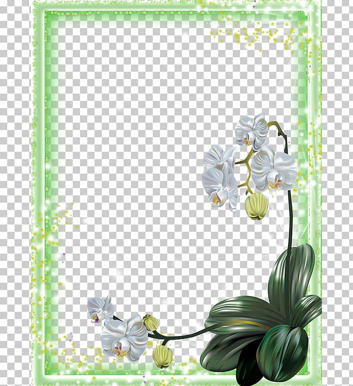 Moth Orchids Flower PNG, Clipart, Border Frame, Creative, Easter, Flora, Floral Design Free PNG Download